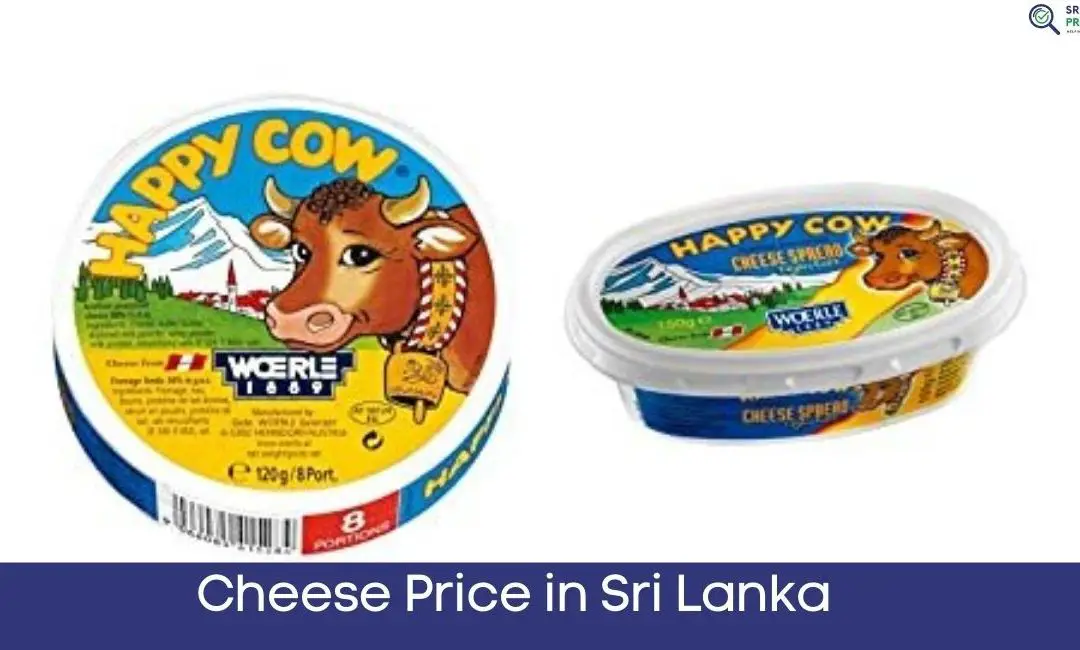 Cheese Price in Sri Lanka In 2024